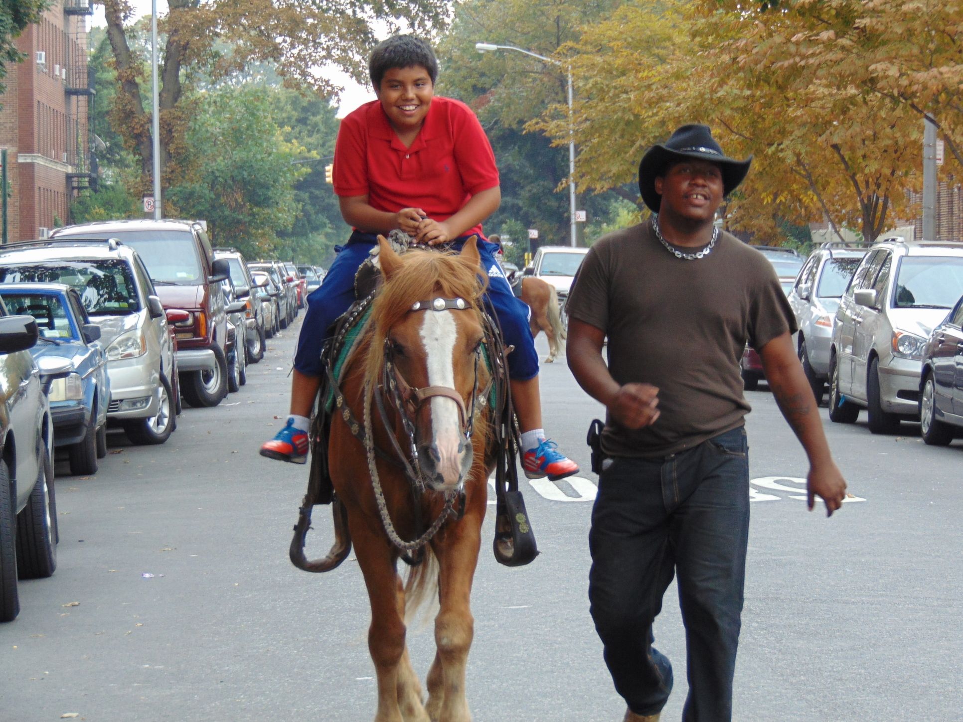 flatbush frolic horse