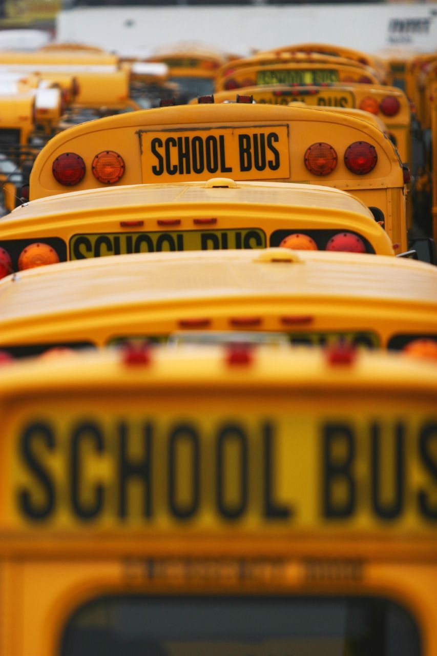 school bus line