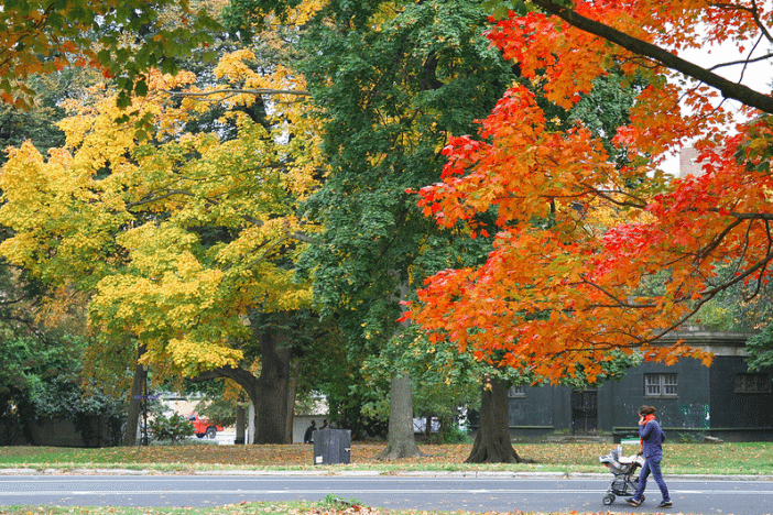 Prospect Park in Fall