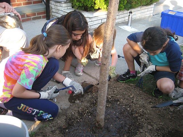 tree planting