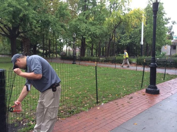 photo via fort greene park