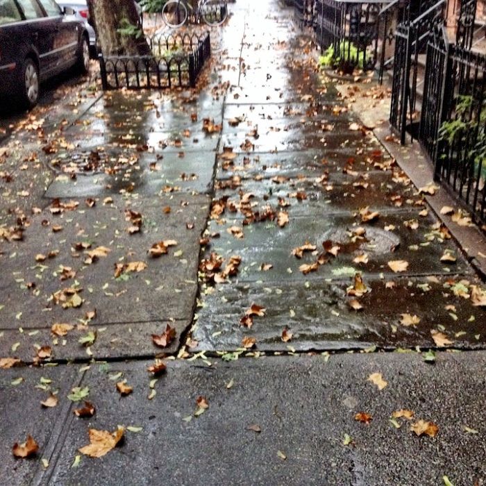 rainy fall sidewalk by Oswaldo Cabrera