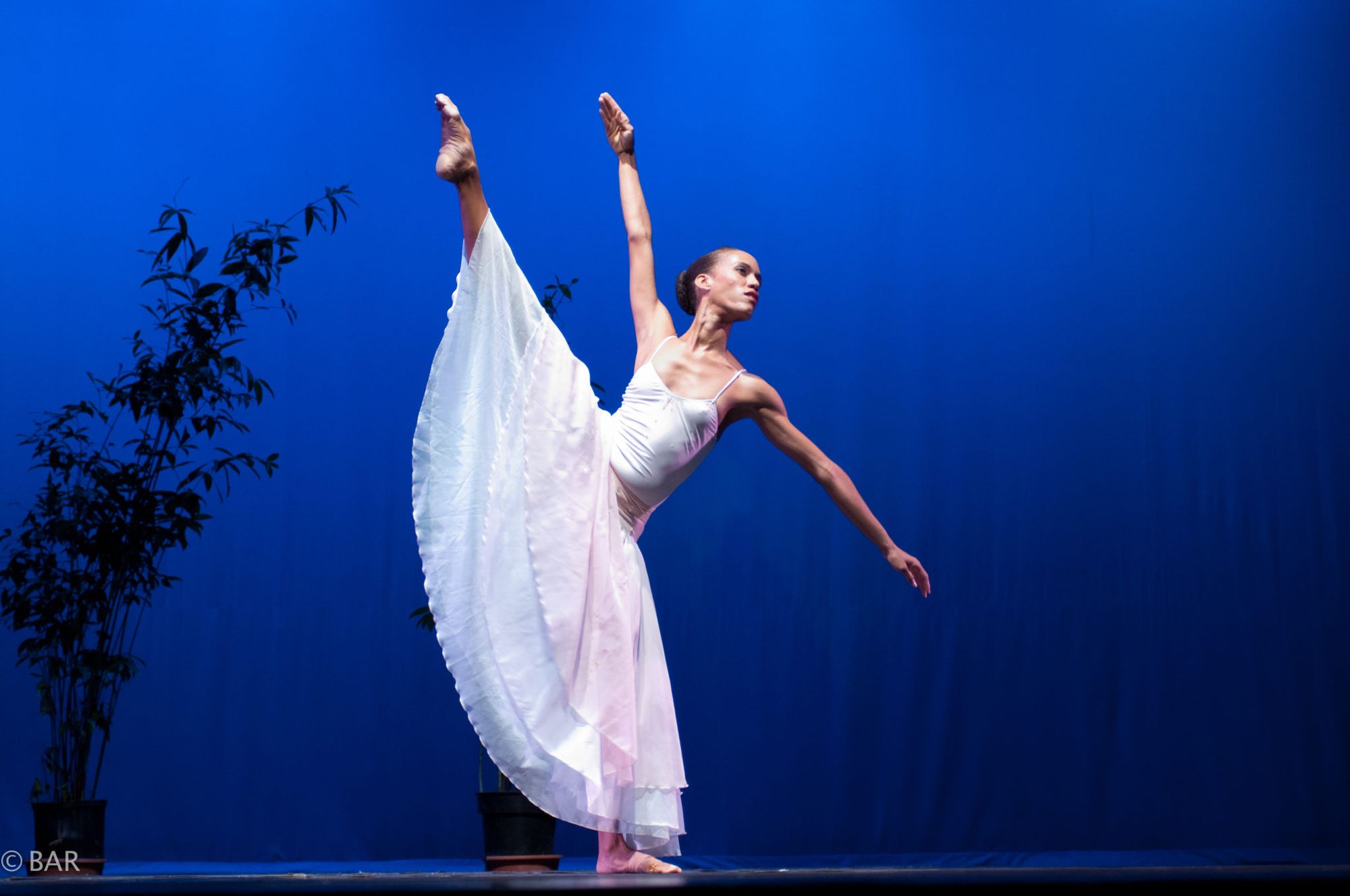 National Dance Theatre Company of Jamaica