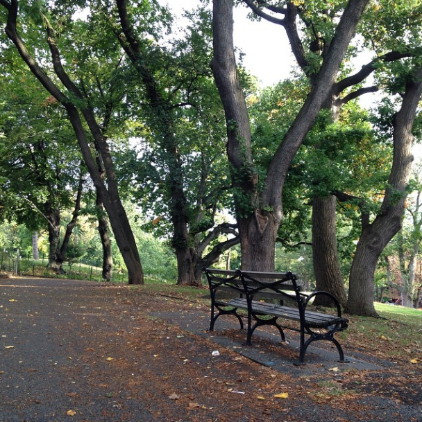 fort greene park benches by cisc1970