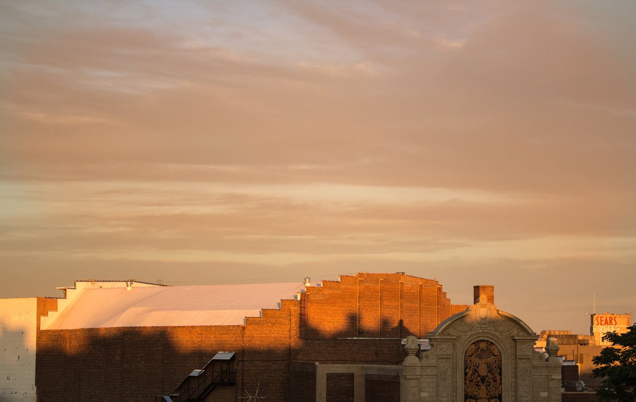 TC Elif Altinbasak view from Regent Place rooftop towards Flatbush Avenue