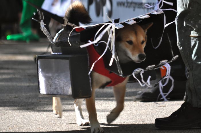 fgf_pupkin_papershredder