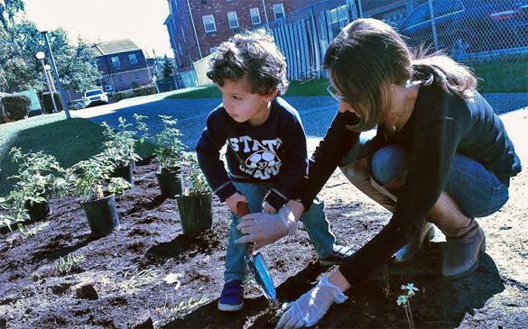 Garden A Symbol Of Resiliency In Sandy-Hit Bath Beach