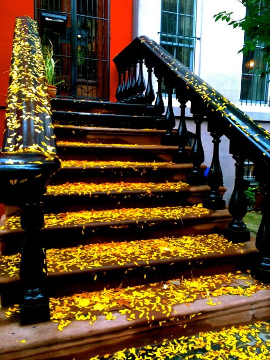 rainy stoop with fall leaves