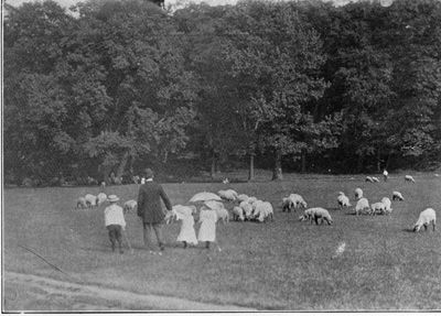 prospect park strolling on long meadow