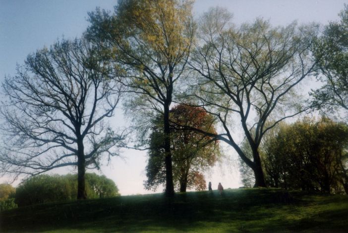 Prospect Park in the '90s. Photo courtesy David Oppenheim.