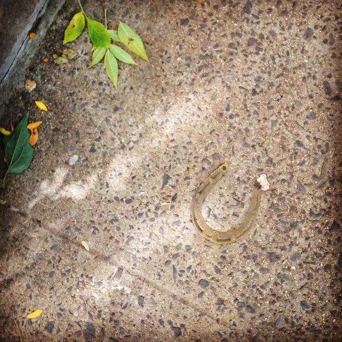 sidewalk horseshoe