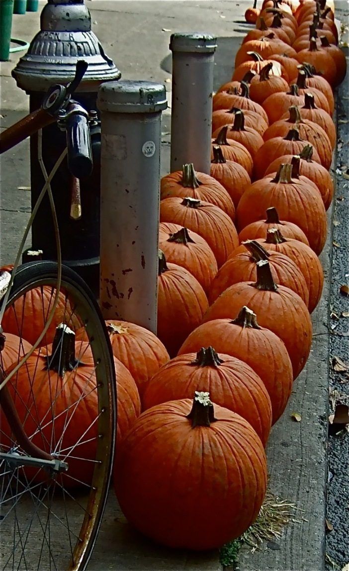 Pumpkins by Tom Prendergast