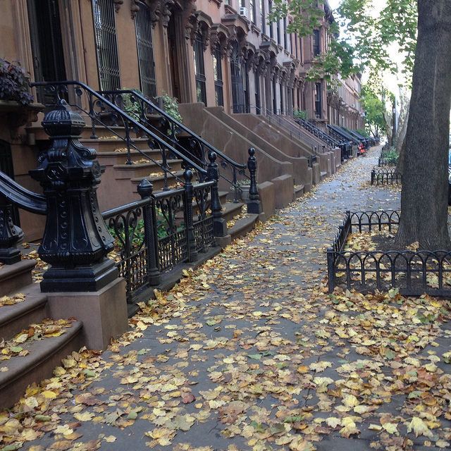 rainy fall leaves sidewalk by Oswaldo Cabrera