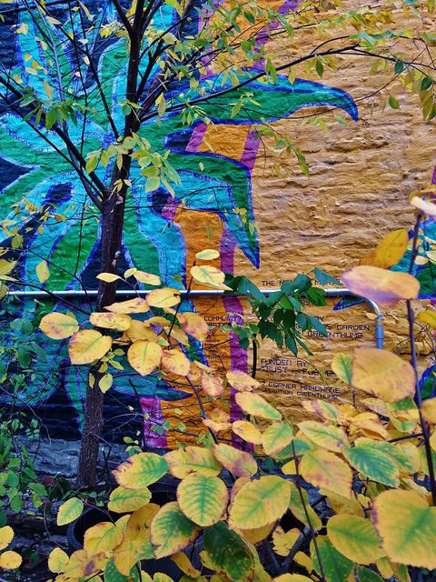 leaves and mural by 11238-bkn