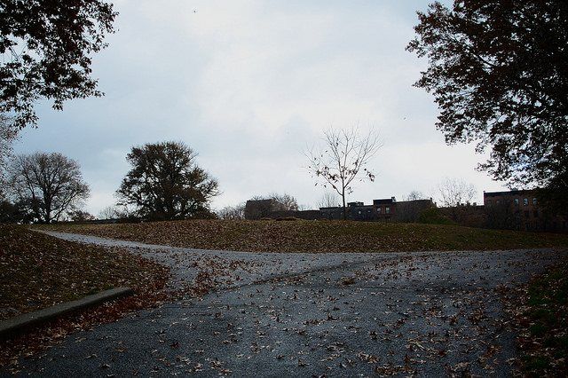 rainy fort greene park by Francisco Daum