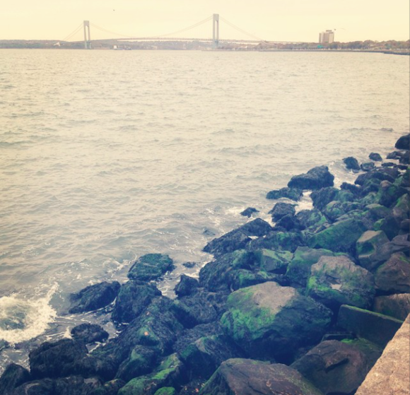 Moss-view-of-verrazano