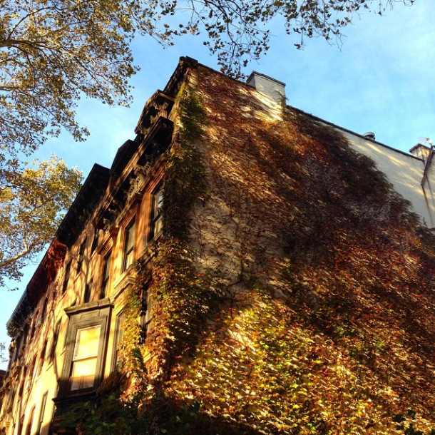 fall brownstone by daleseat