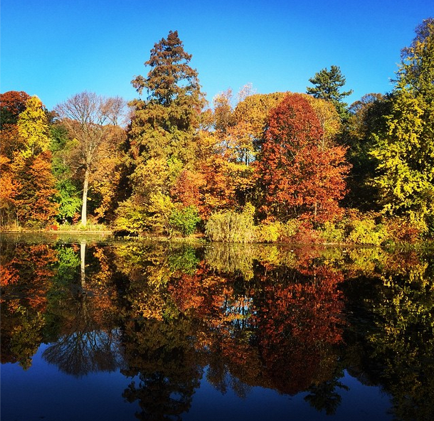 Prospect Park in fall