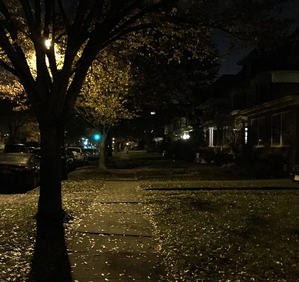 trees and lamplight photo of the day