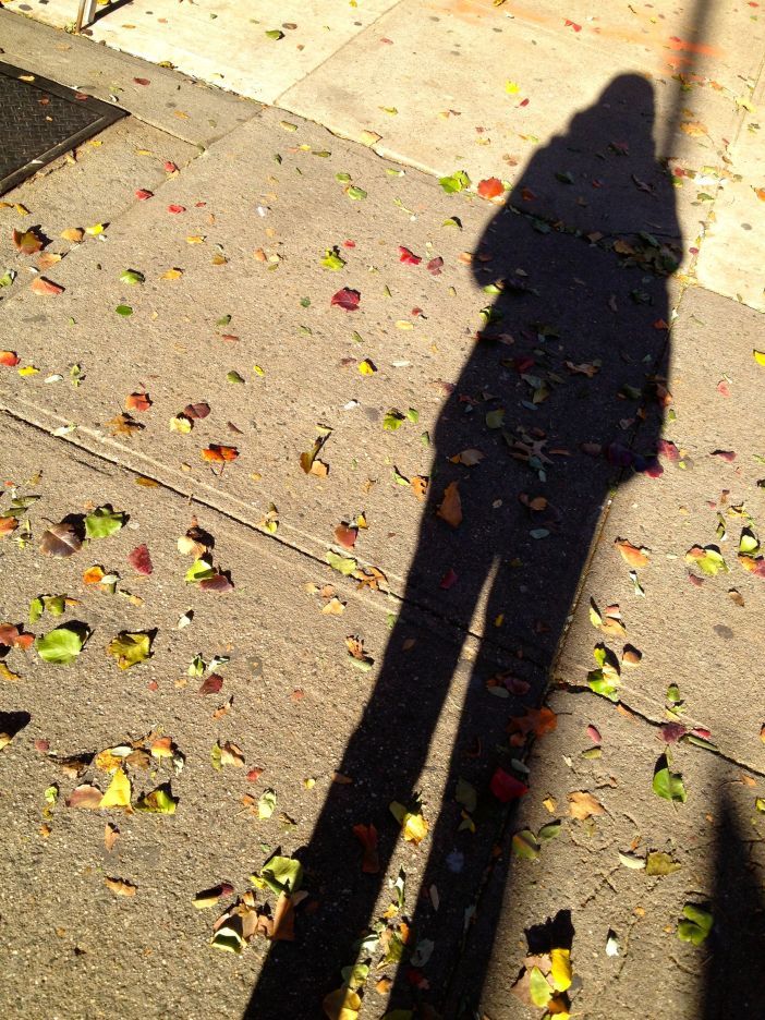 fall shadow