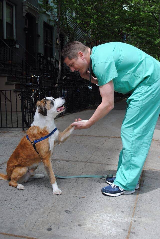 VERG’s Dr. Brett Levitzke with Max, a pit-bull-pointer-shepherd mix who lost his owner during Hurricane Sandy.