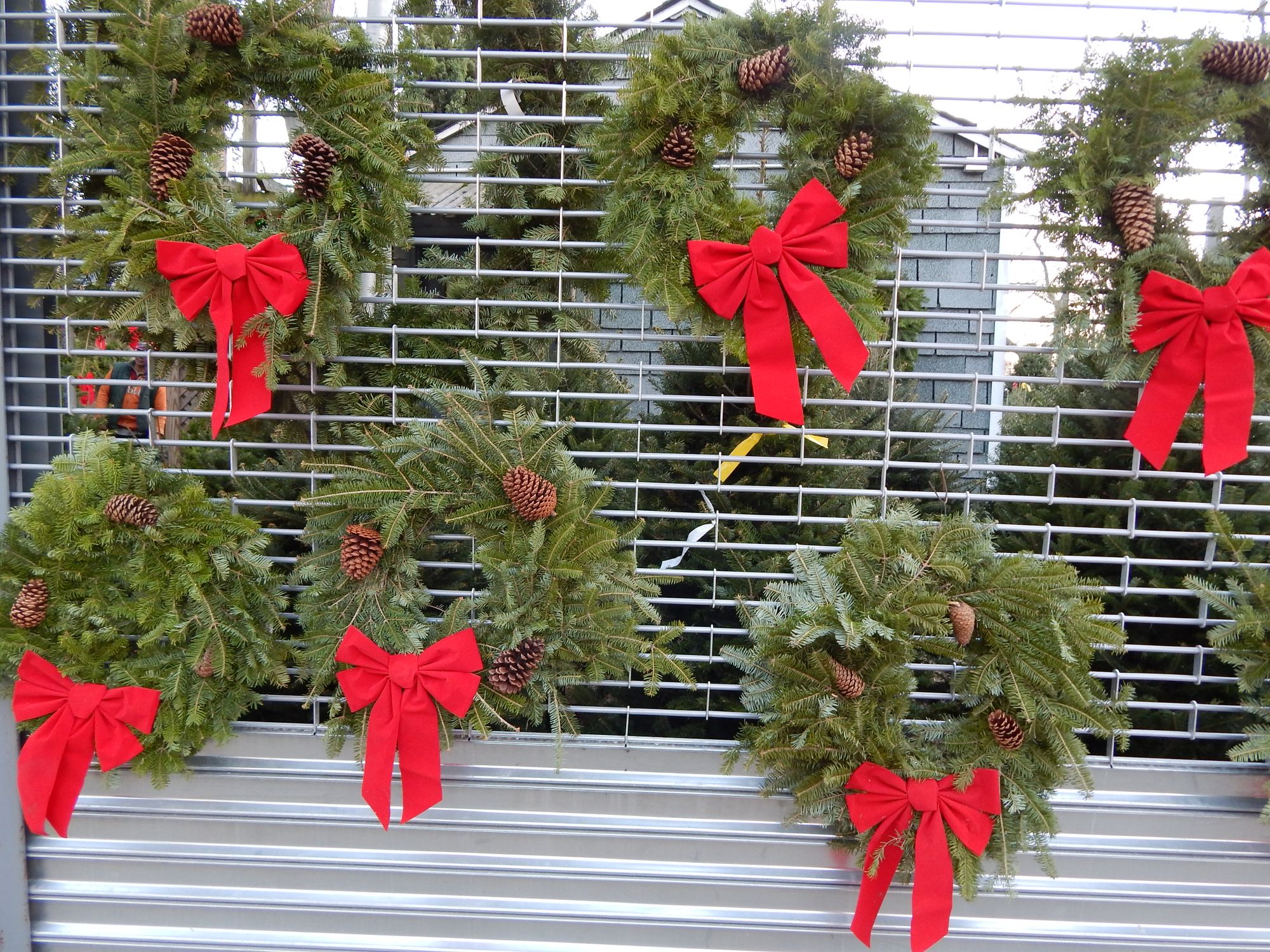 Christmas wreaths Caton Avenue and E. 7th