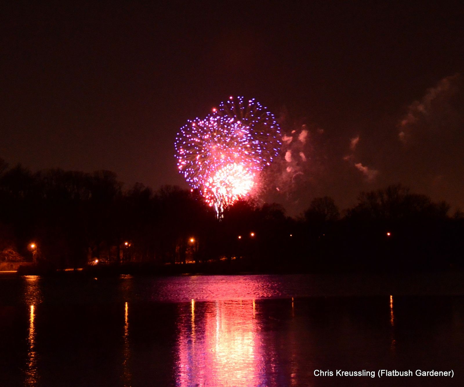 Prospect Park New Year's fireworks by Chris Kreussling
