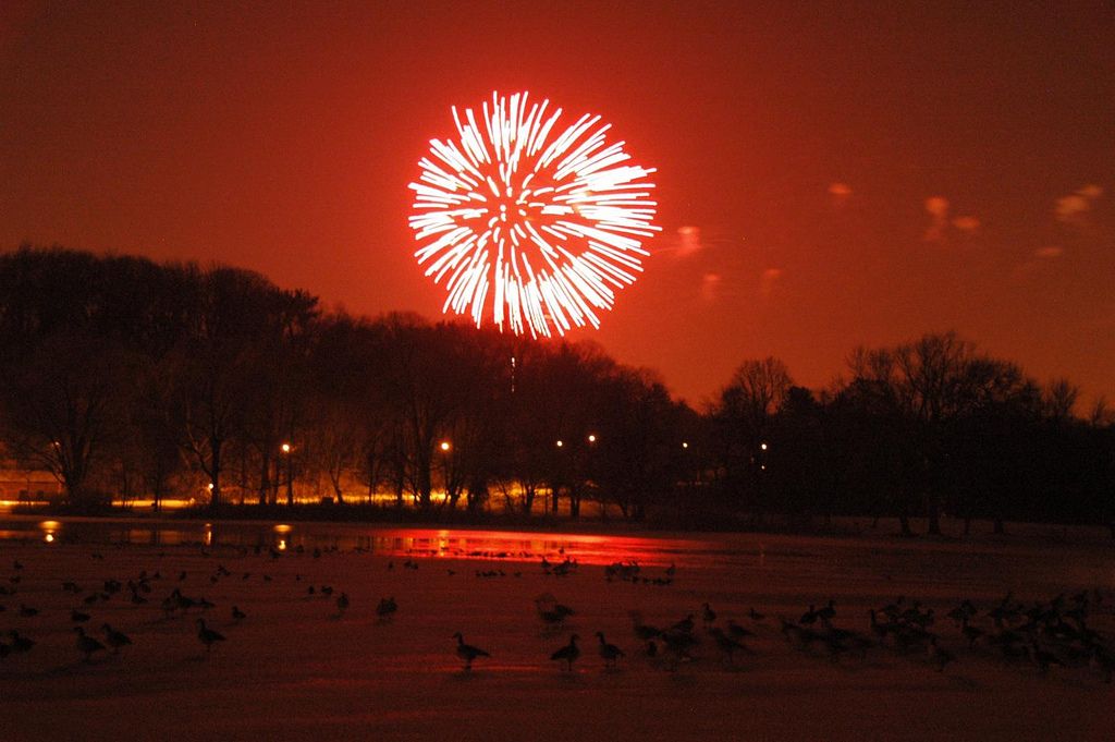 Fireworks, Prospect Park, New Year's Eve 2011