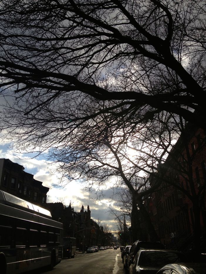 park slope streets: 7th avenue