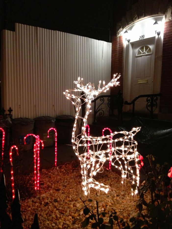 reindeer on 7th st