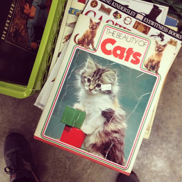 The Beauty of Cats book at LIfe Thrift