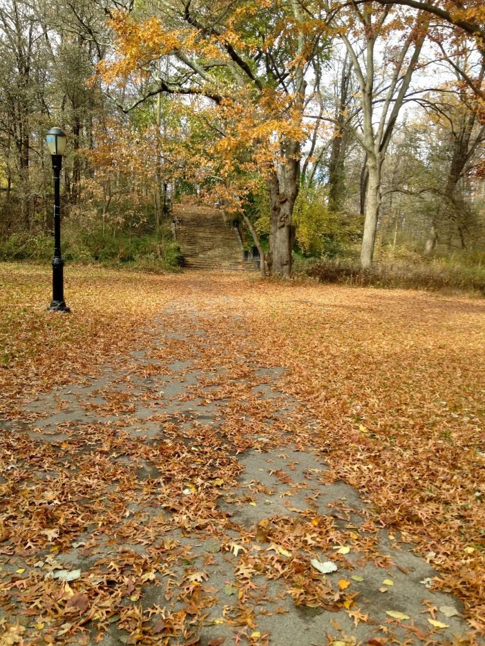 prospect park in fall