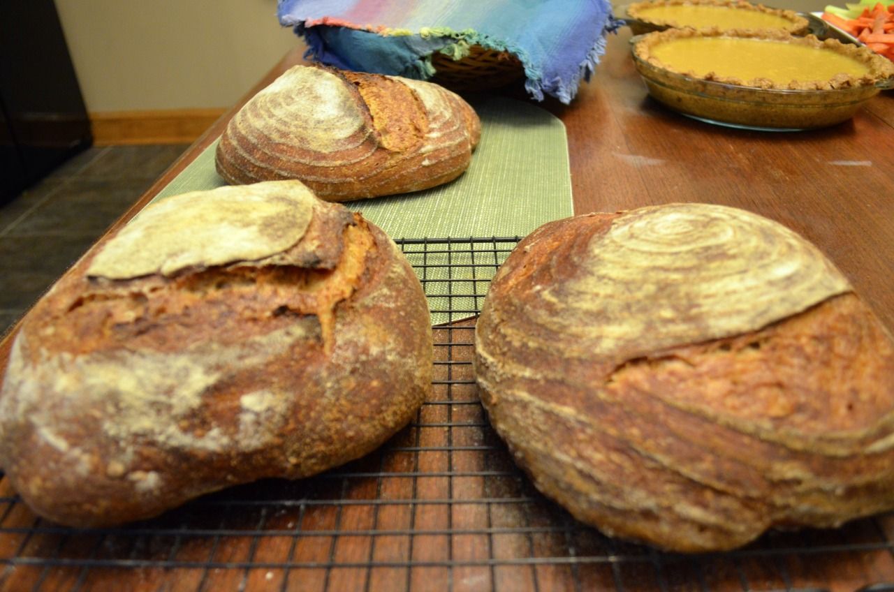 Jesse Stacken's homemade sourdough bread at one of the previous performances, yum! Photo via the Beverley Concert Series.