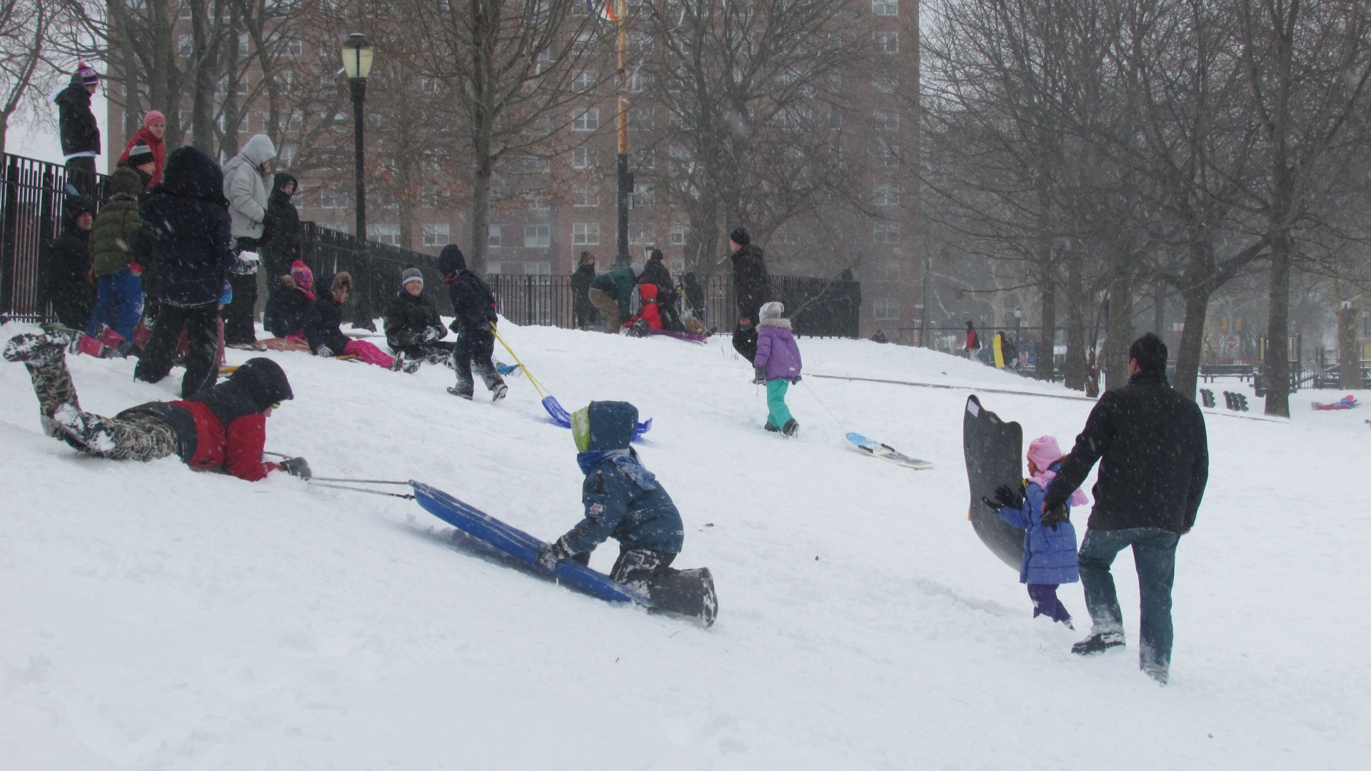 Unfazed By A Few Inches Of Snow, Everyone Went To The Park Today [Photos]