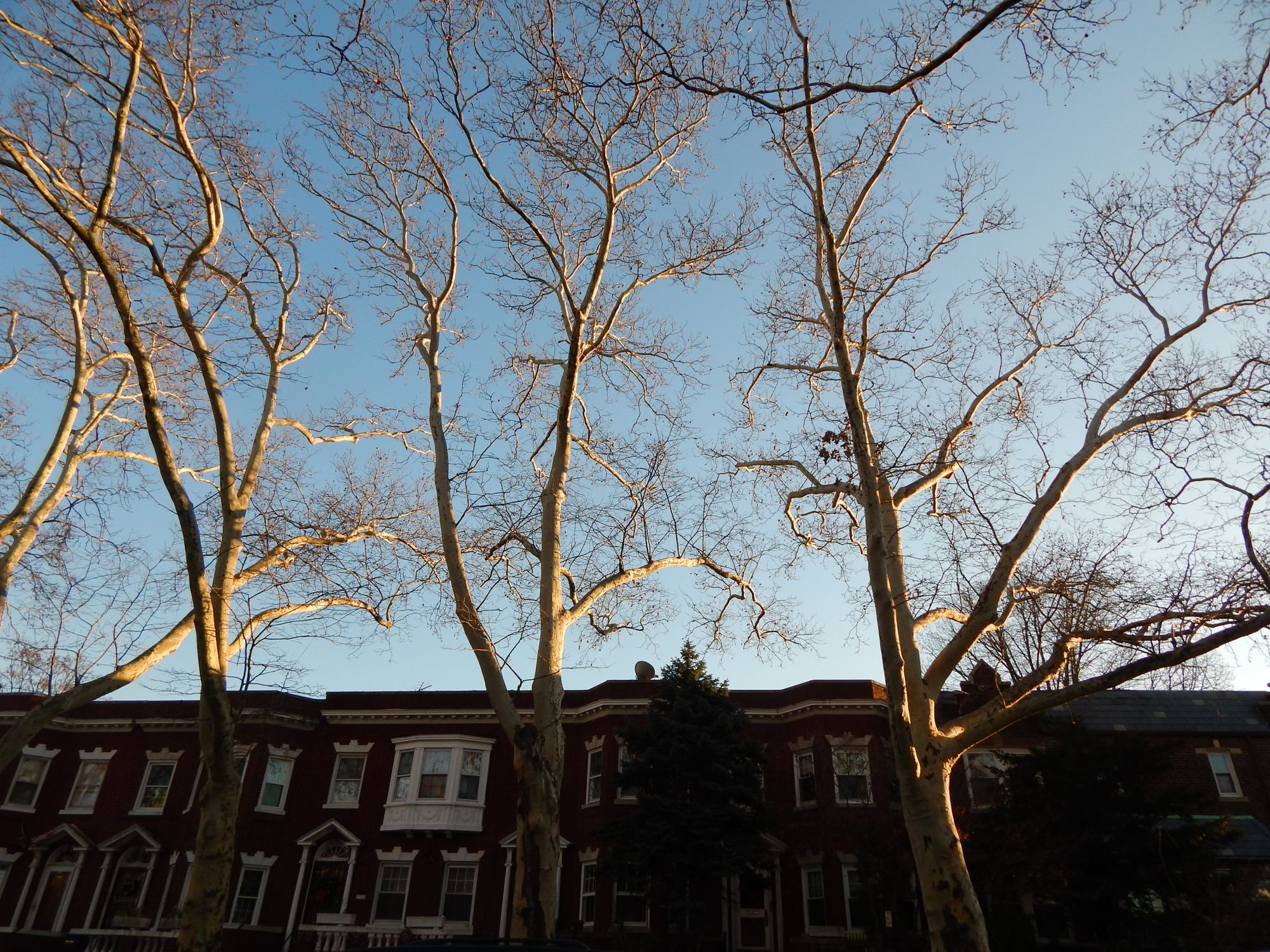 Kensington row homes