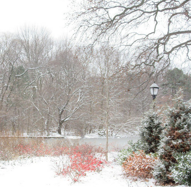 Prospect Park snow