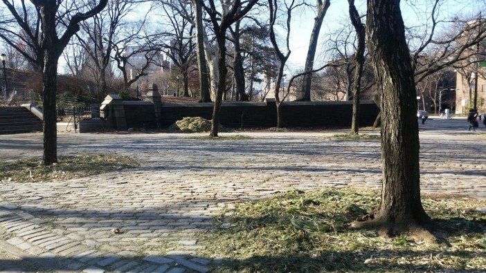 mulch in fort greene park