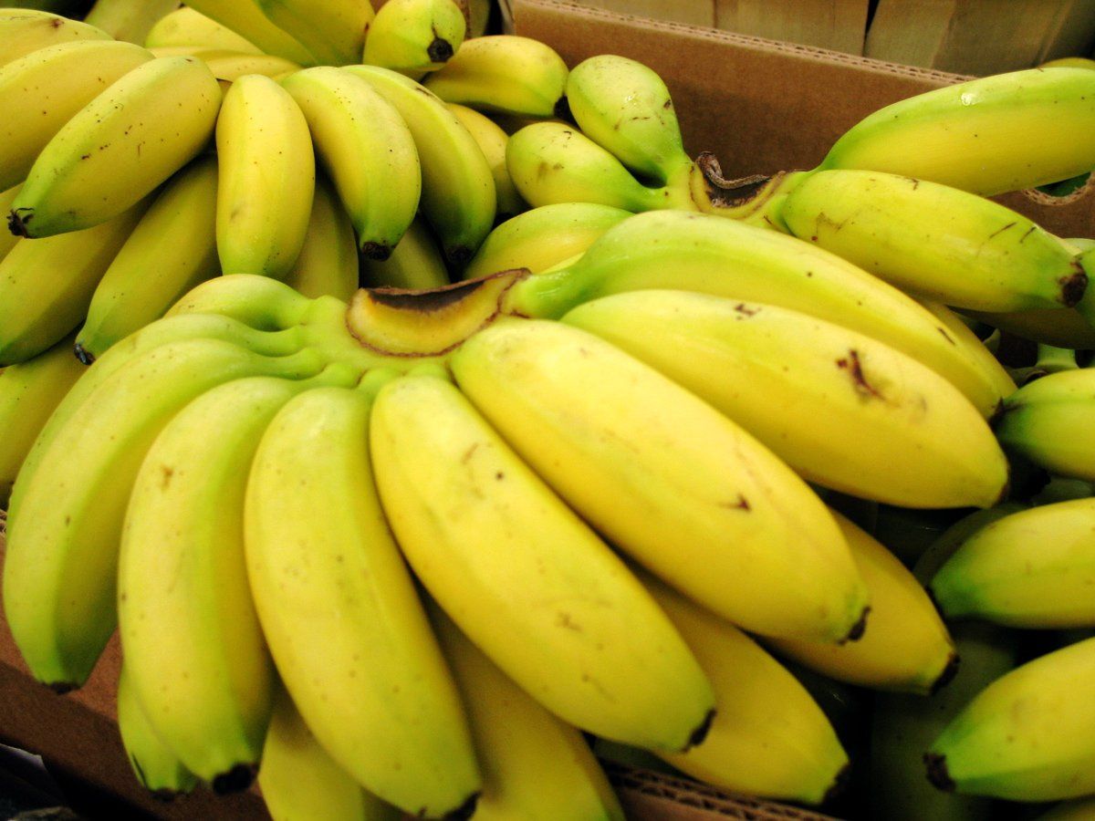 Park Slope Trends Report: Babies Out, Baby Bananas In