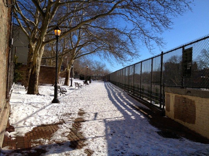 snowy mayrose park