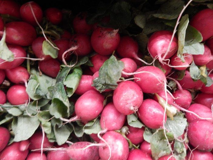 Cortelyou Market radishes