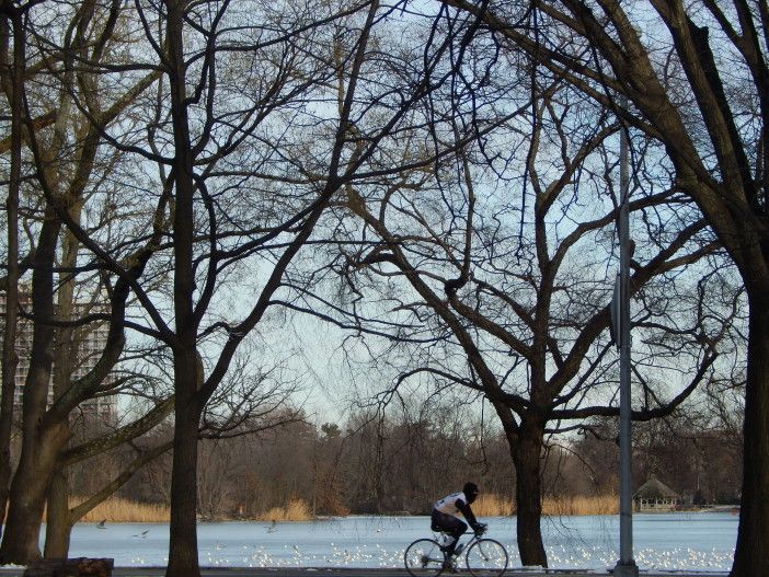 Prospect Park bicyclist