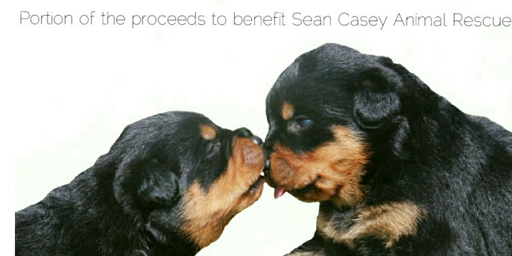 TONIGHT: Meet Single Pet Owners & Support Sean Casey Animal Rescue
