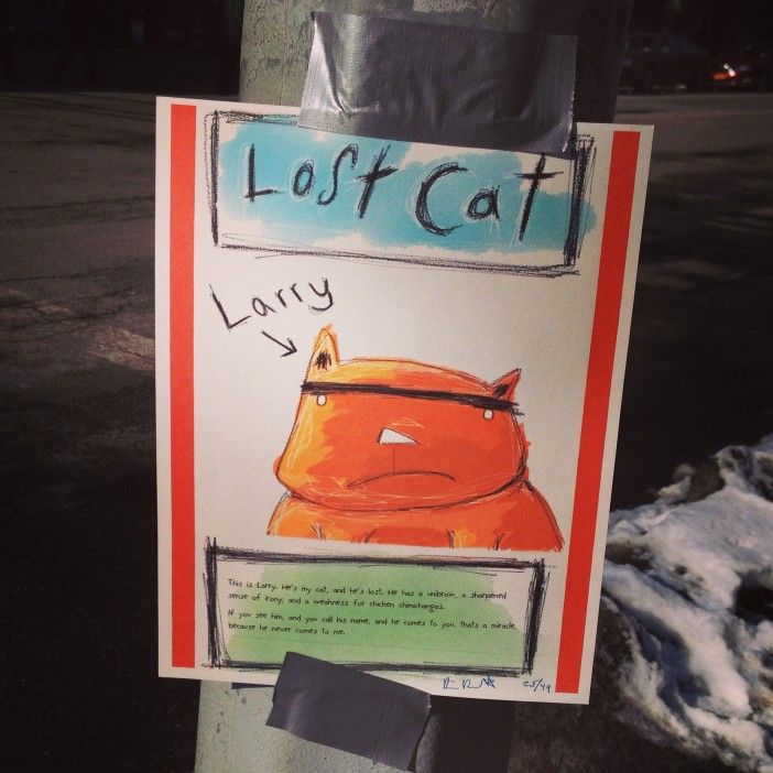 larry the lost cat sign