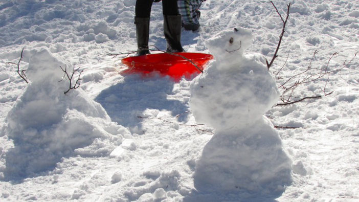 prospect park snowman