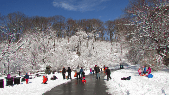 prospect park snow