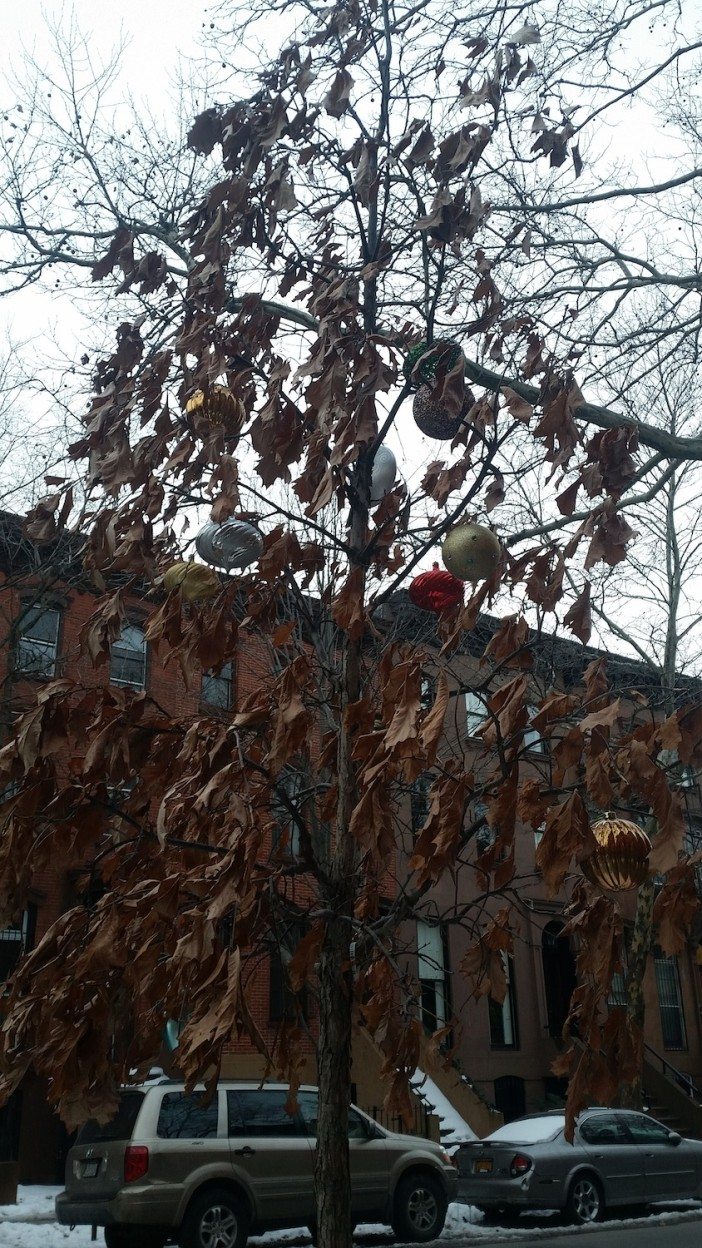 tree ornaments