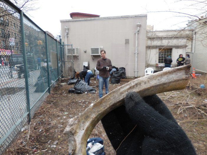 Neighbors found a ton of stuff during the cleanup, including bones.