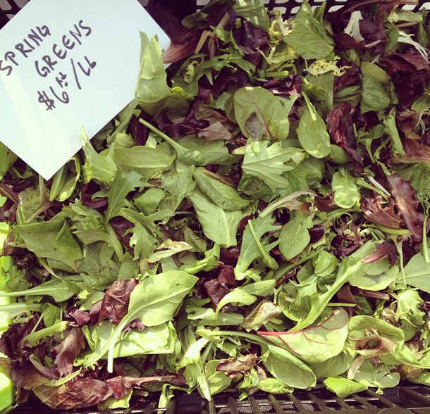 cortelyou greenmarket