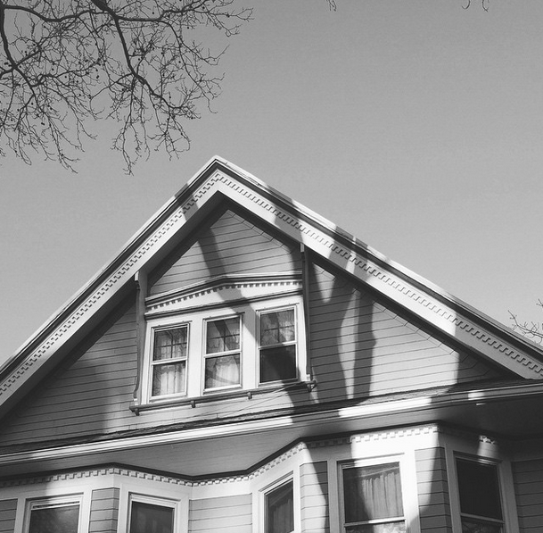 tree shadow house