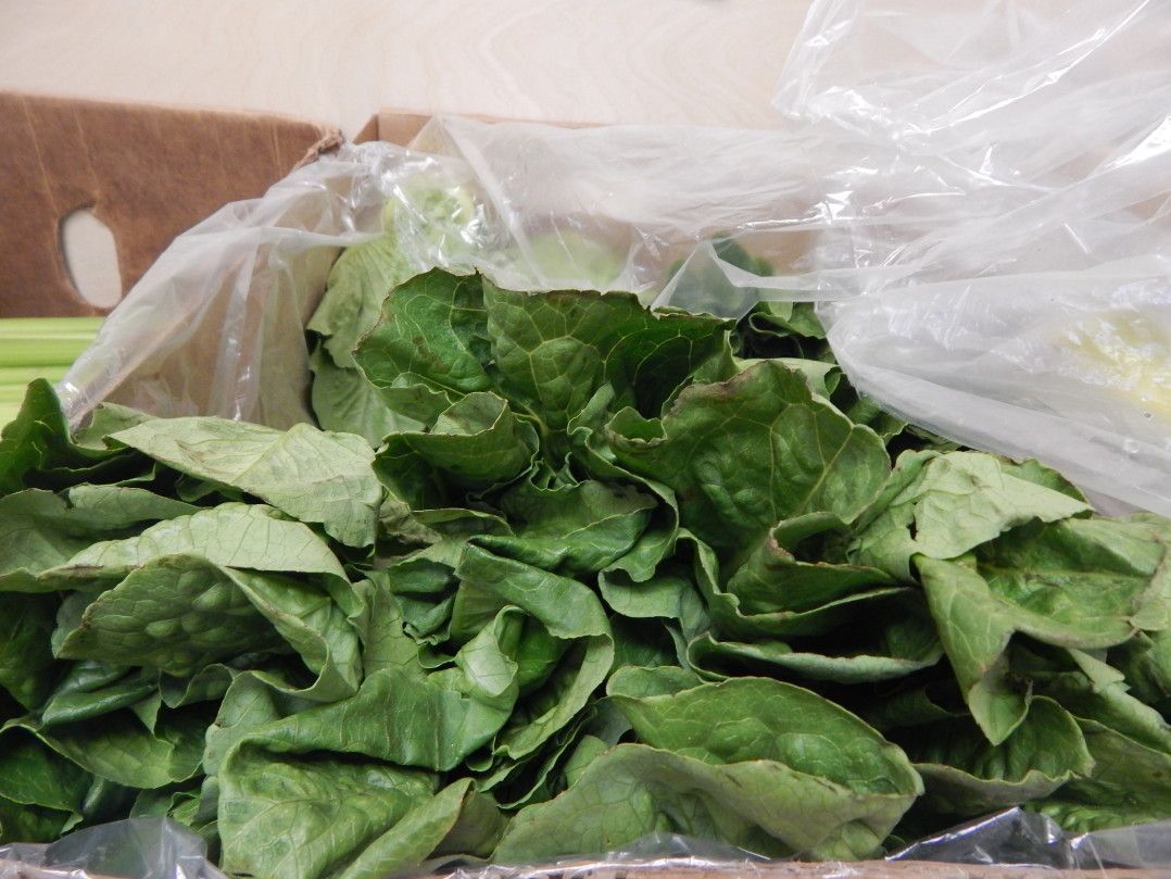 Windsor Terrace Food Co-op lettuce